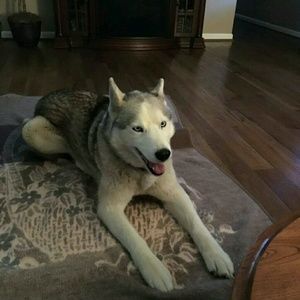 Meet your Posher, Helen